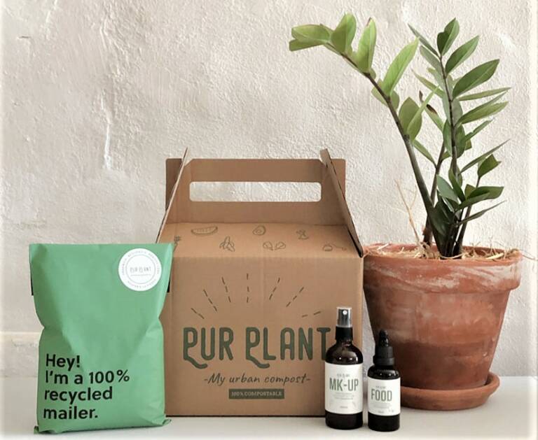 Cuidados para las plantas – Entrevista a Pur Plant