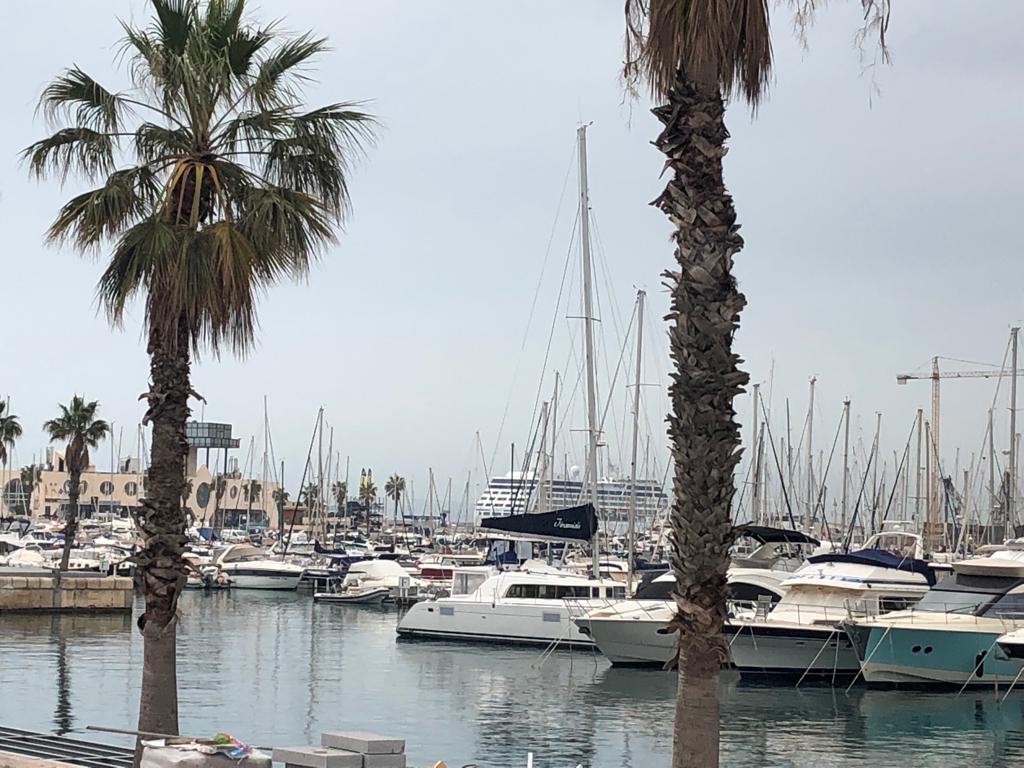 Alicante recibe a 3.600 cruceristas en Semana Santa que dejarán 180.000 euros en la ciudad