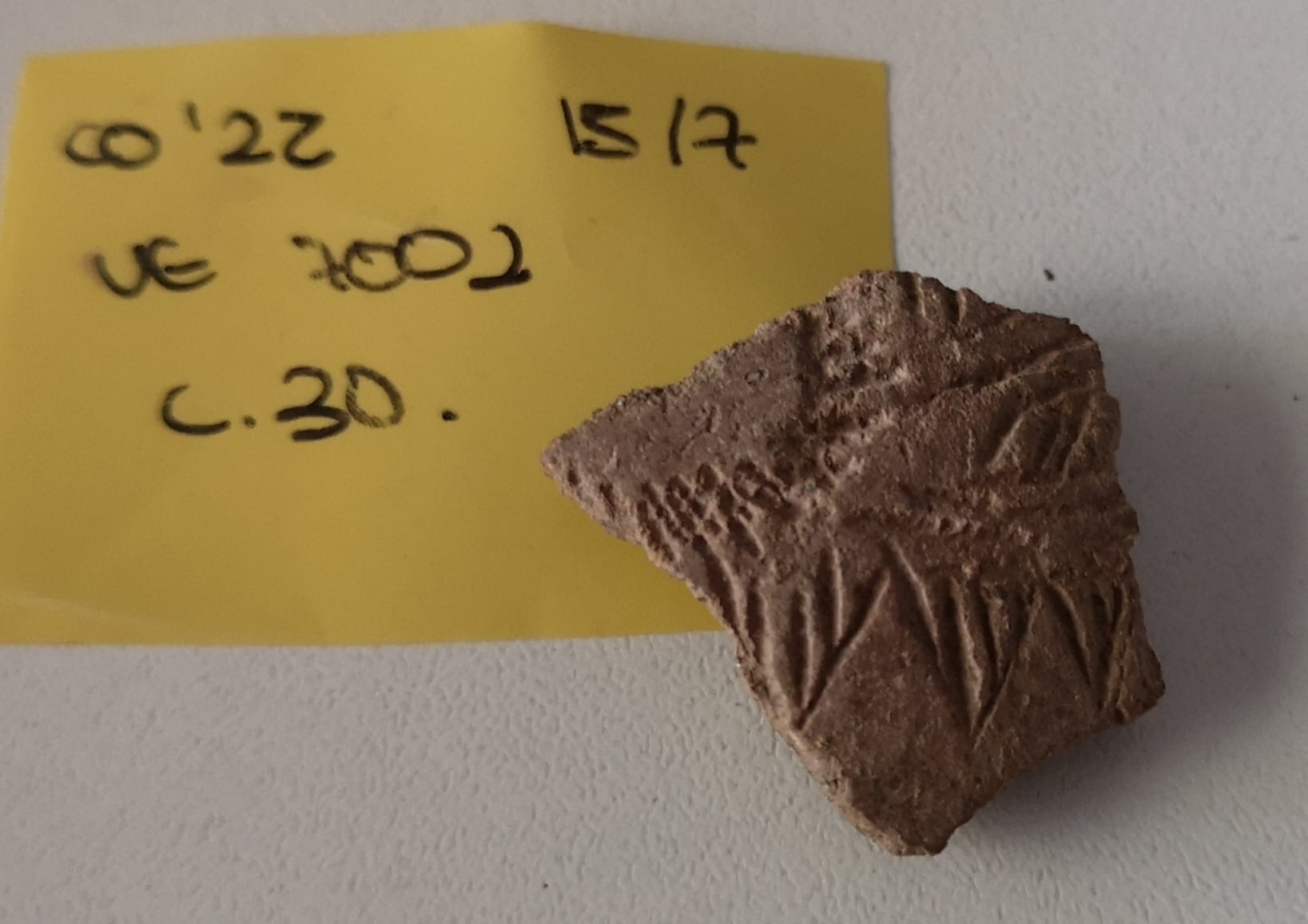 Arqueólogos del MARQ hallan relevantes cerámicas del Neolítico en una grieta de la Cova de l’Or de Beniarrés