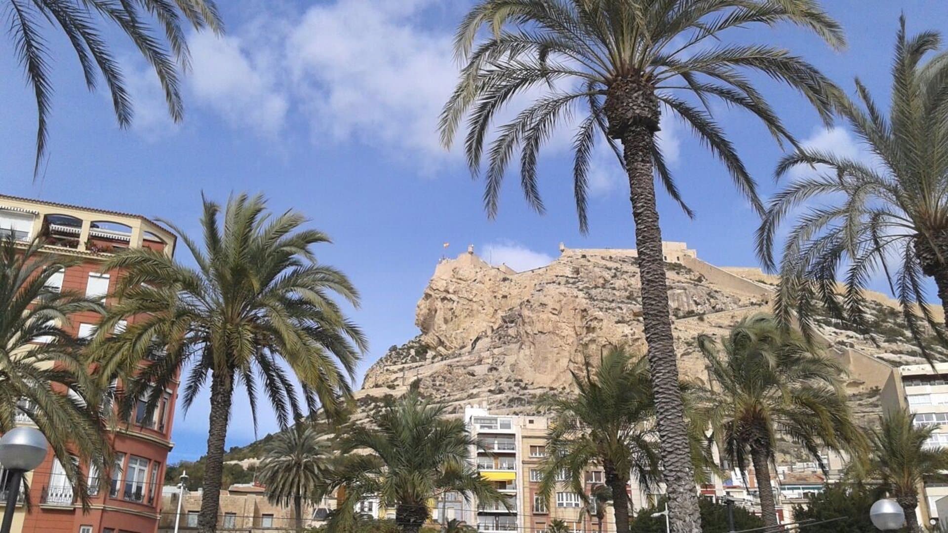El turismo internacional aumenta un 16% en Alicante con un “importante” crecimiento del mercado nórdico￼