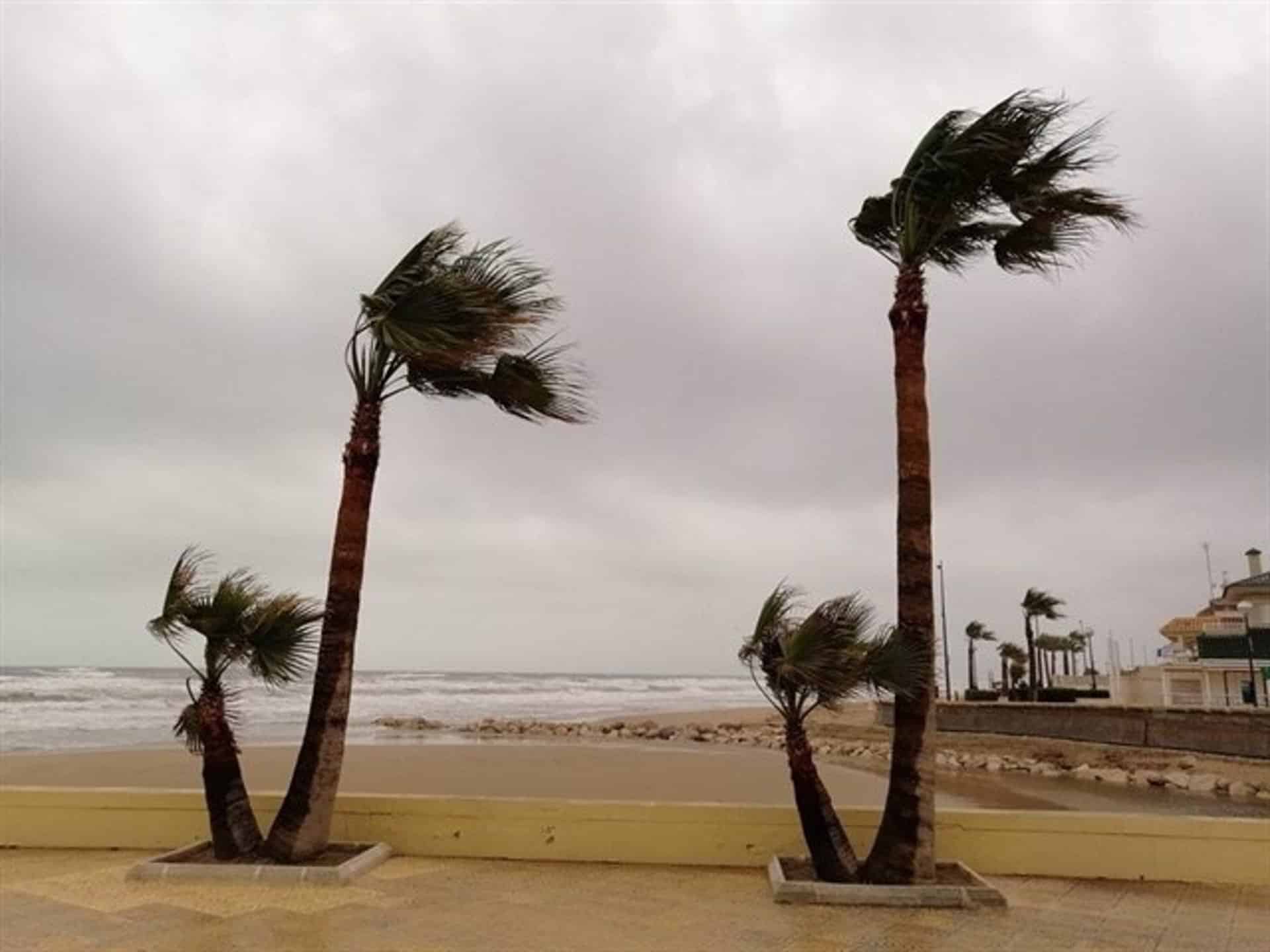 Las tormentas del domingo afectan especialmente a Alicante con 131,2 l/m2 en cuatro horas en Pego