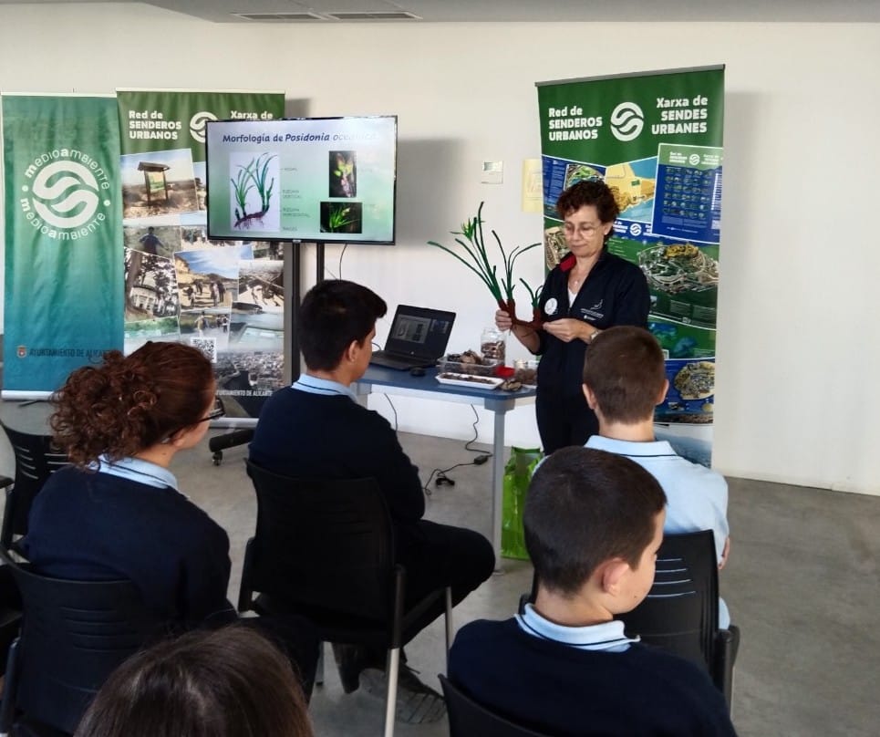 <strong>Alicante sensibiliza a 1.500 escolares sobre la importancia de proteger las praderas de Posidonia</strong>