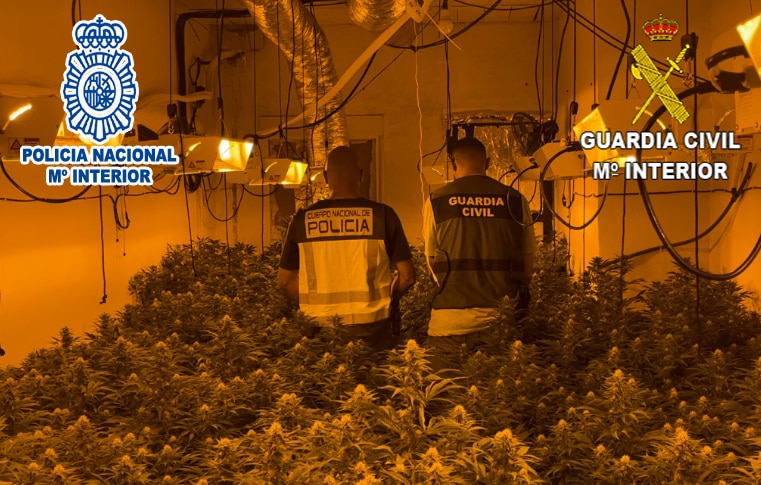 <strong>La Policía Nacional y la Guardia Civil desmantelan un grupo criminal dedicado al tráfico de drogas y robos en Alicante, Murcia y Albacete</strong>