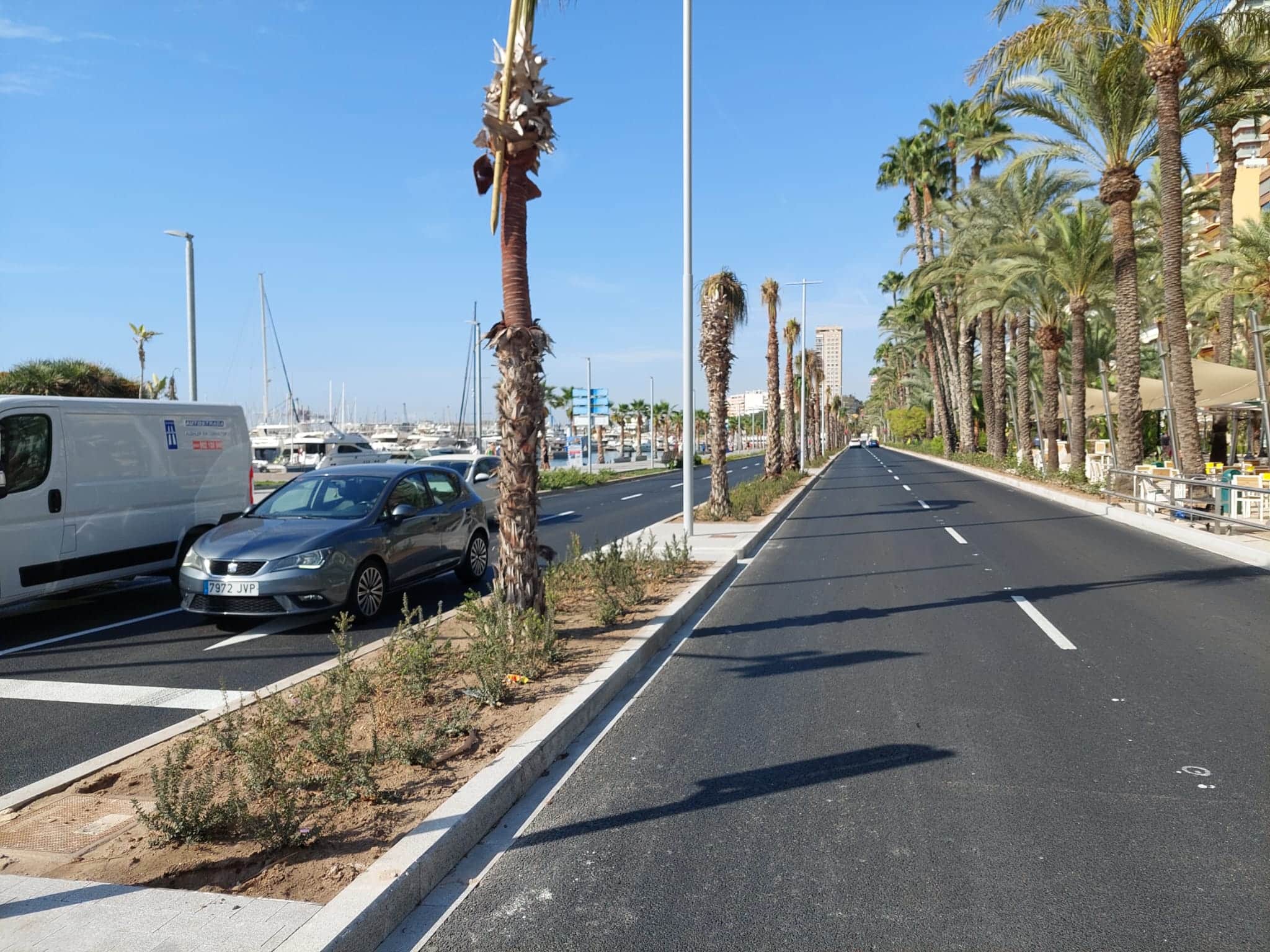 El renovado Paseo de los Mártires en Alicante amplía el palmeral de la fachada litoral